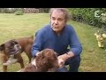 Pierre Perret et tous ses animaux (2007)
